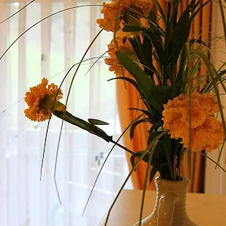 Guest house Gaestehaus Gerda Bad Peterstal-Griesbach