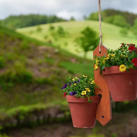 Gaestehaus Gerda 3* Bad Peterstal-Griesbach