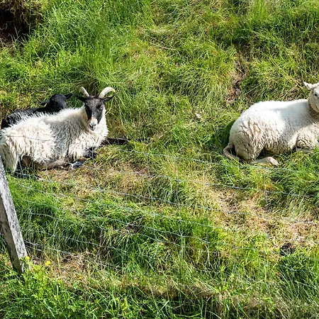 Penzion Gaestehaus Gerda