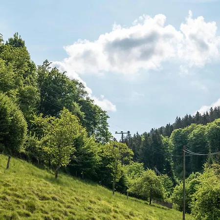 Gaestehaus Gerda Guest house Bad Peterstal-Griesbach