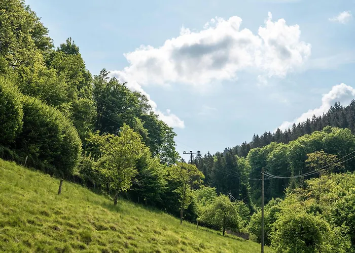 Gaestehaus Gerda Gasthuis Bad Peterstal-Griesbach